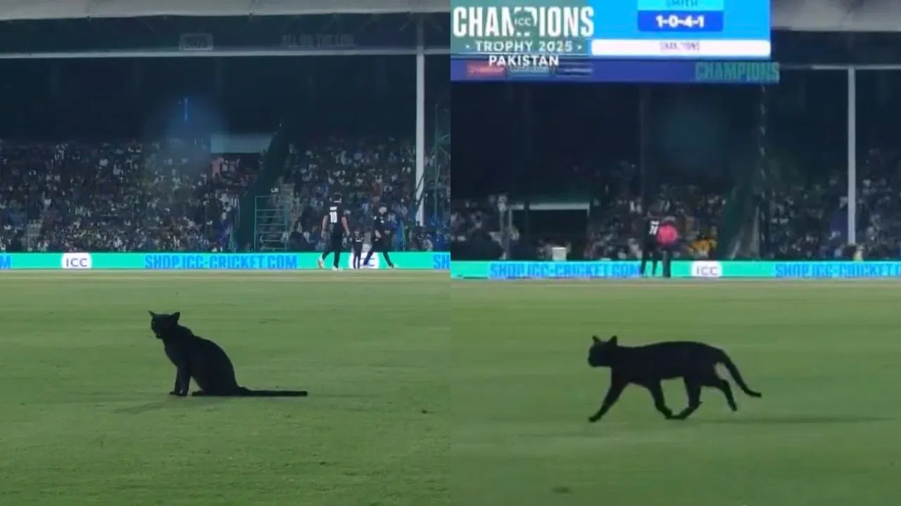 ICC Champions Trophy 2025: Watch – Black CAT returns to Karachi, interrupts Pakistan vs New Zealand match